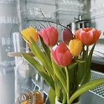 Vineta Strandhotels 4* Zinnowitz