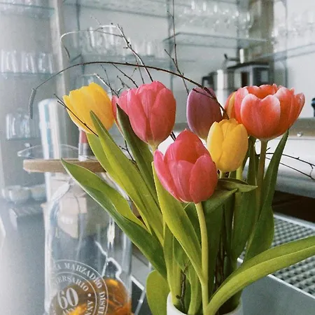 Vineta Strandhotels 4* Zinnowitz